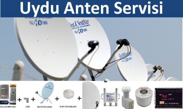 Murgul Antenci